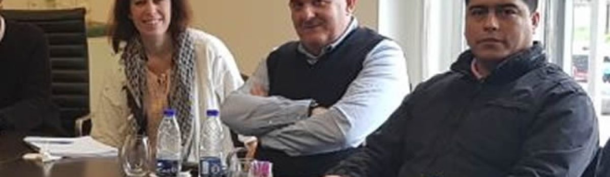 vidal borselli