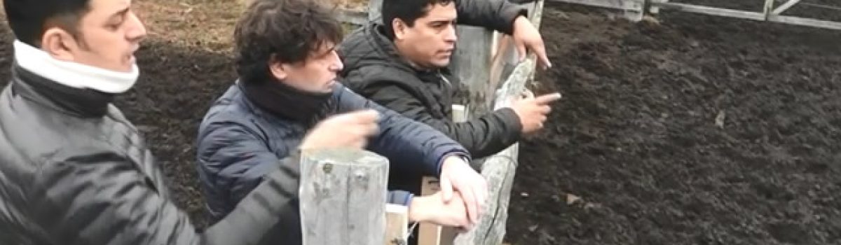 vidal campo otros