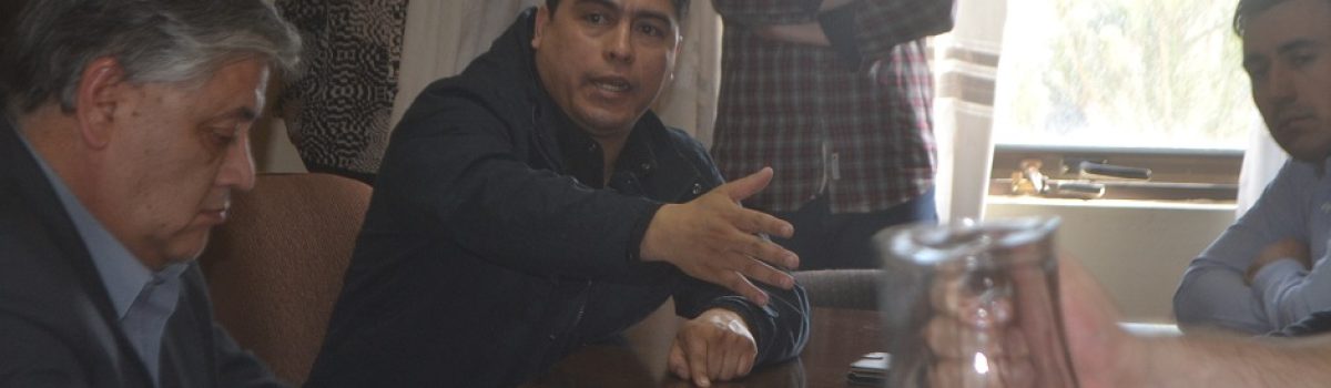 vidal en diputados