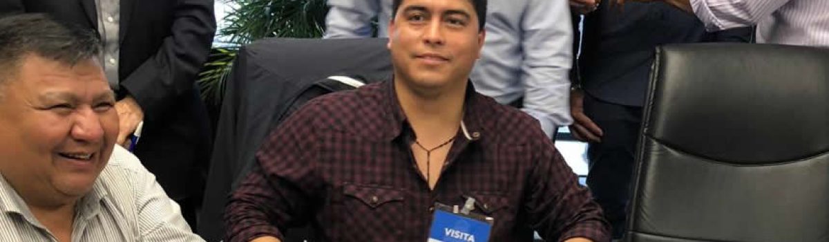 vidal firma