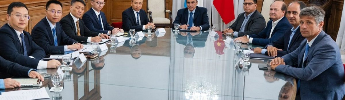 vidal frnaco chinos represas