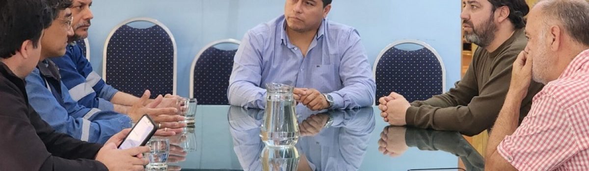 vidal pali PT