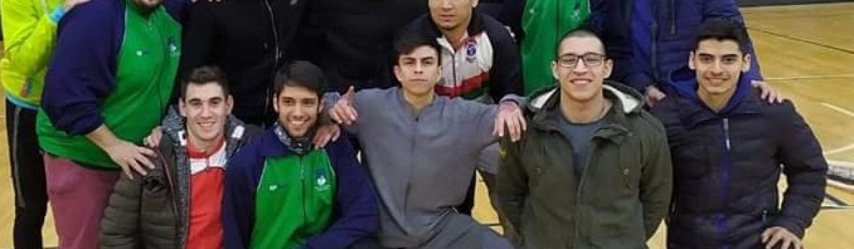 voley 3ro puesto 2019