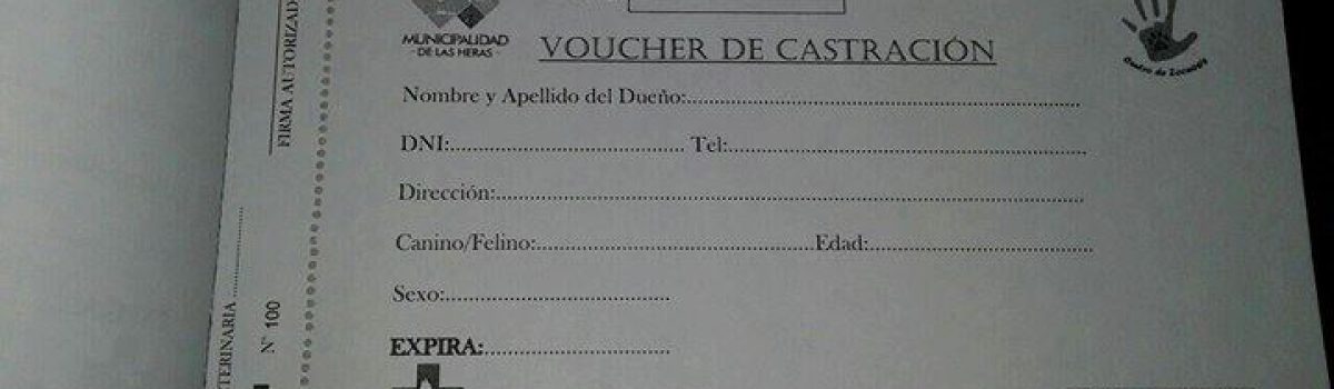 voucher castracion