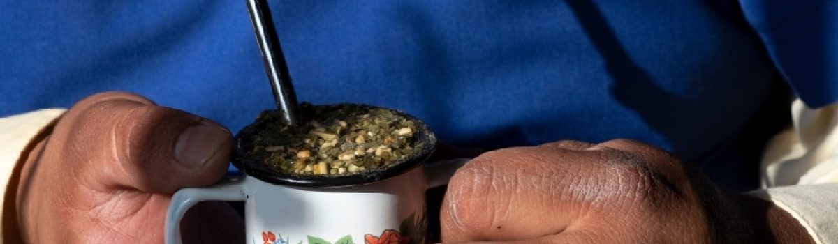 yerba mate