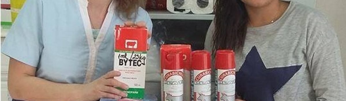 zoonosis y protectora