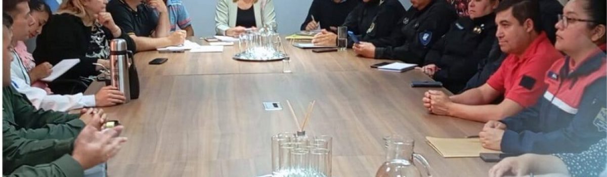 zulma reunon s fiseta 2025 cerez