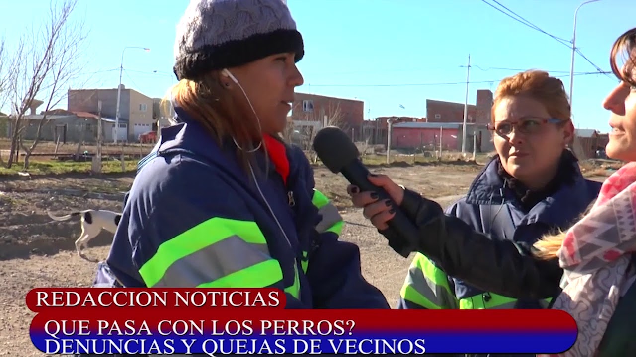 QUE-PASA-CON-LOS-PERROS-LAS-HERAS-SANTA-CRUZ