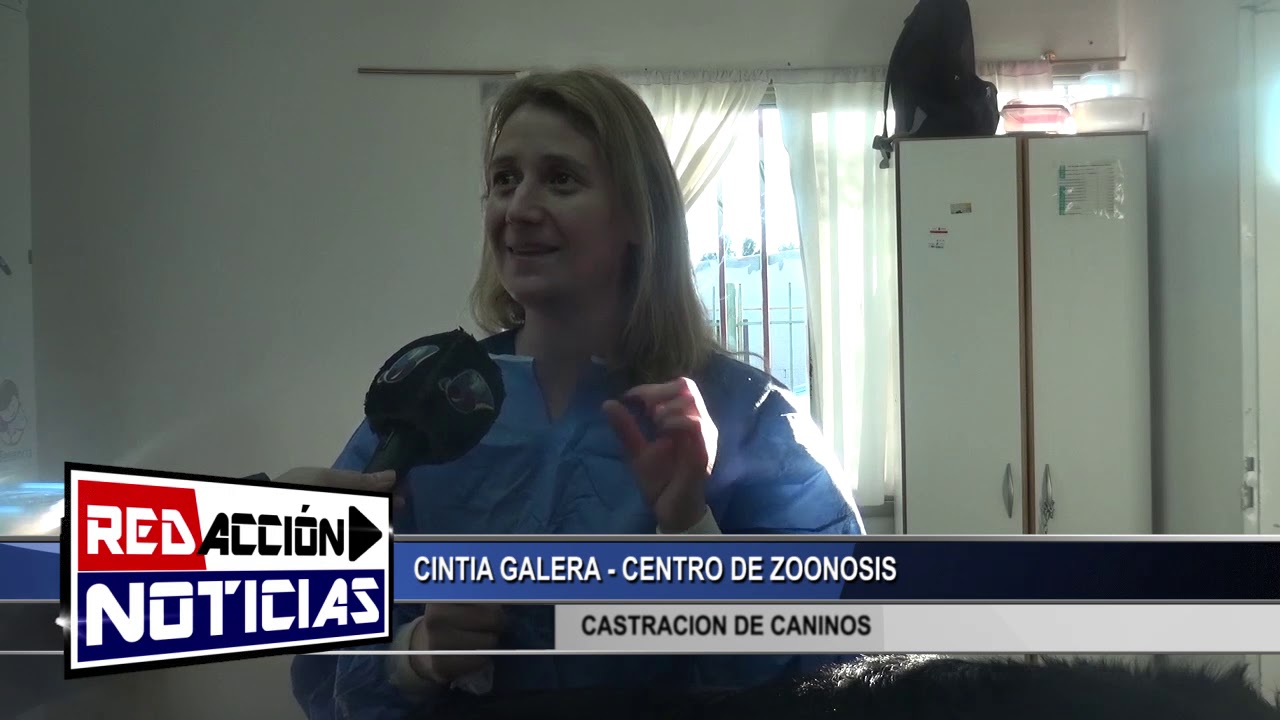 CINTIA-GALERA-DE-ZOONOSIS-CASTRACION-CANINA-LAS-HERAS-SANTA-CRUZ