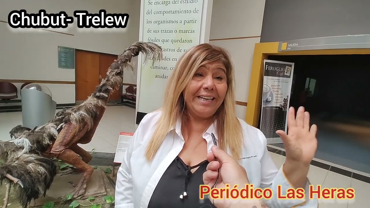 Museo-de-Dinosaurios-en-Trelew-Chubut-Argentina